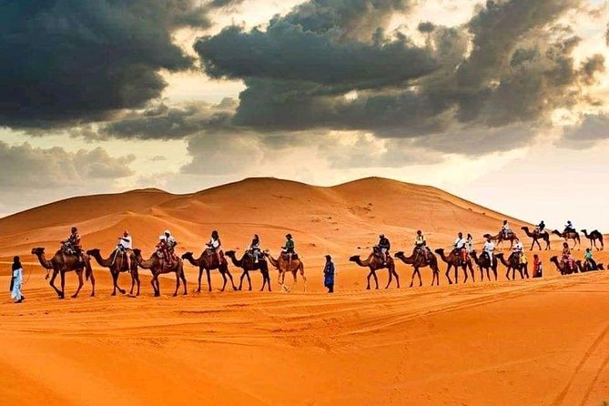 Shared 3 Day Desert Safari Experience Tour From Marrakech to Merzouga to Fes - The Sum Up