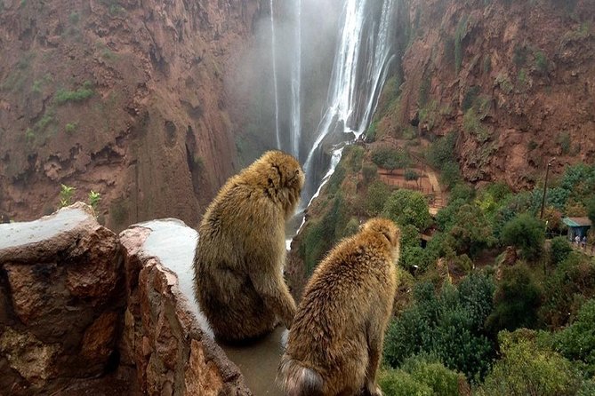 Shared Group Day Trip to Ouzoud From Marrakech - Additional Considerations