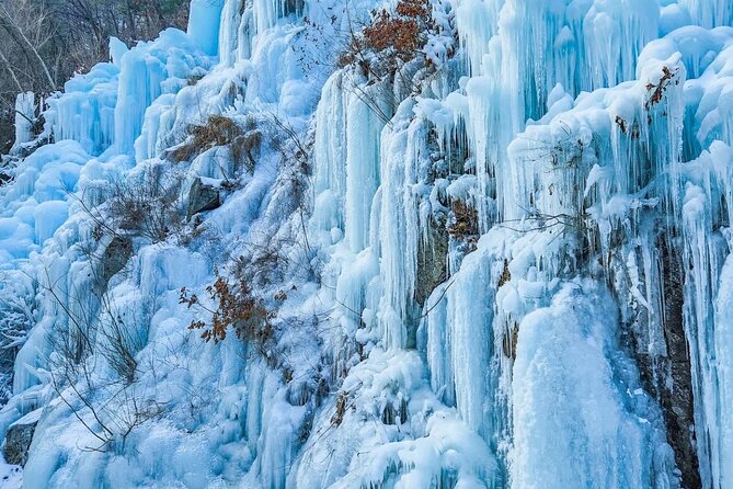 Shared Korean Winter Tour at Nami Island With Professional Guide - Lowest Price Guarantee