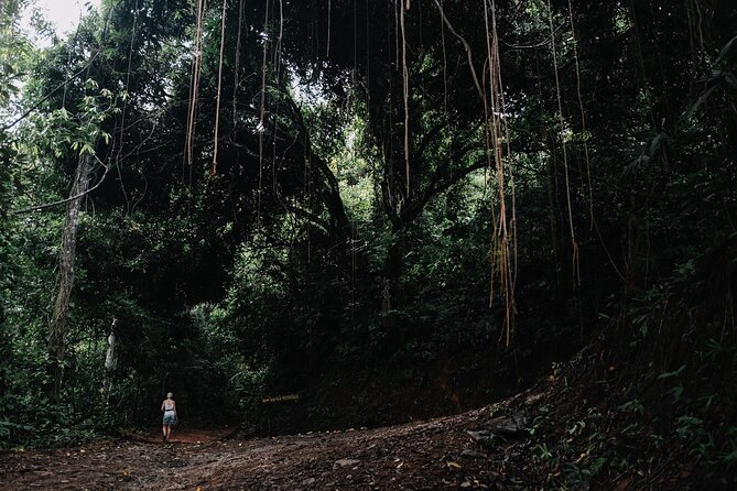 Shared Shuttle Arenal to Monteverde - Accessibility Features