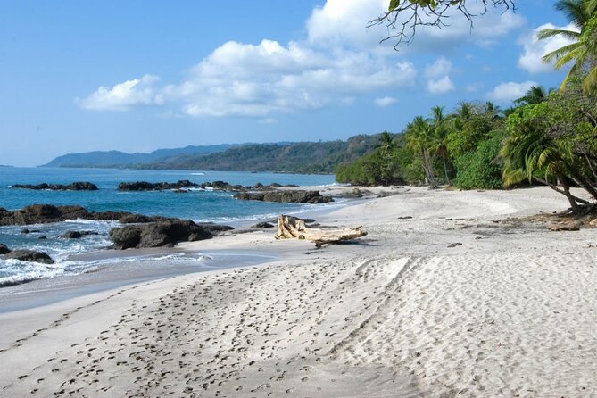 Shared Shuttle Arenal to Santa Teresa or Montezuma - Tips for a Smooth Trip