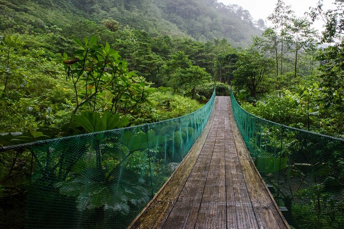 Shared Shuttle Tamarindo to Monteverde