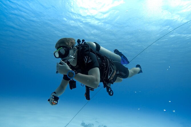 Sharks Bay Diving Trip - Meeting and Pickup Details