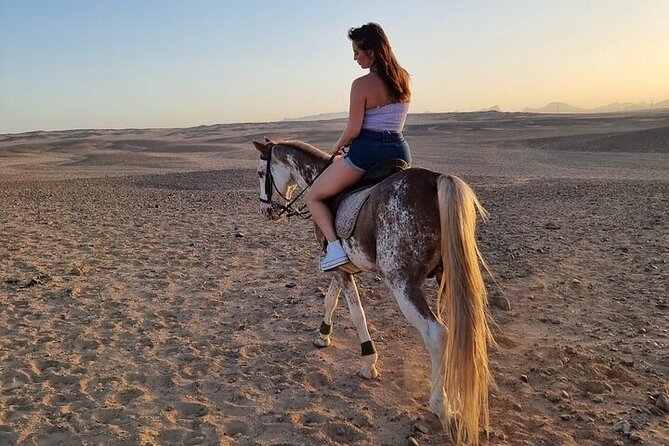 Sharm El Sheikh Desert Horseback Riding Adventure One/Two Hours - Pickup Information