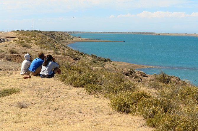 Shore Excursion Peninsula Valdes/Punta Tombo - Minivan Madryn - Photo Opportunities Along the Way
