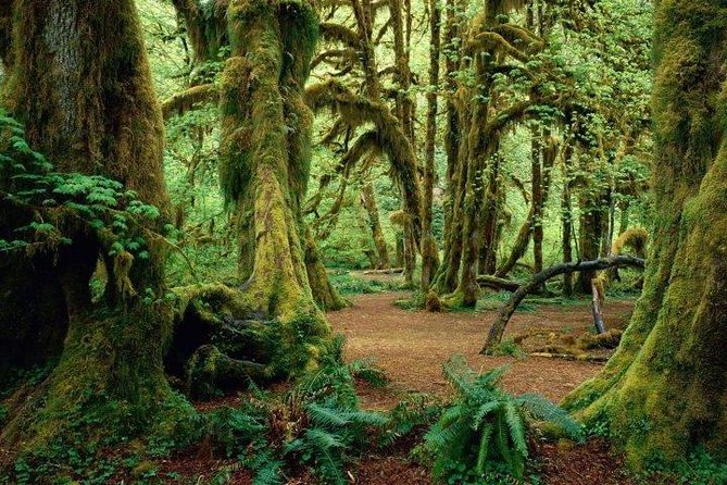 Short Wildlife and Nature Safari in Rumonge - Pricing Details
