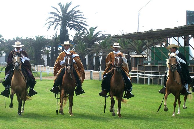 Show: Marinera & Peruvian Paso Horse - Accessibility and Health Notes