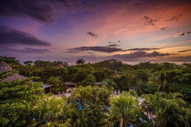 Shuttle From Liberia Airport to Playa Tamarindo and Playa Flamingo - Special Requirements Considerations