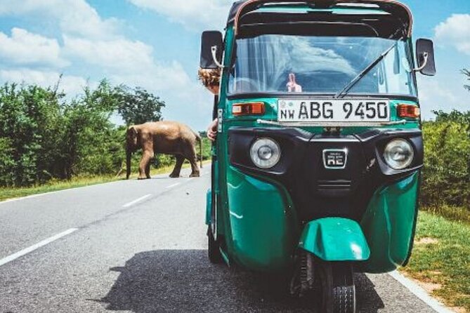 Sigiriya and Dambulla Day Trip by Tuk-Tuk / Car From Sigiriya - Additional Information