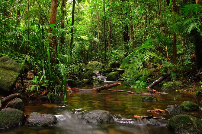 Sinharaja Rain Forest Tour From Hambantota - Weather Considerations
