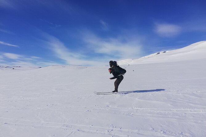 Ski Touring and Log Cabin Between Sweden and Norway - Group Size and Pricing