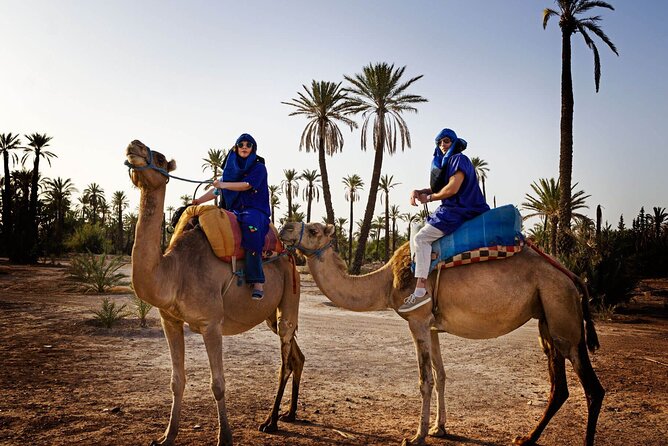 Skip the Line at : Majorelle Garden and Palm Garden. - Additional Information