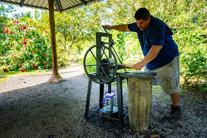 Sloth Tour in La Fortuna and Tortillas Cooking Class - Tour Highlights