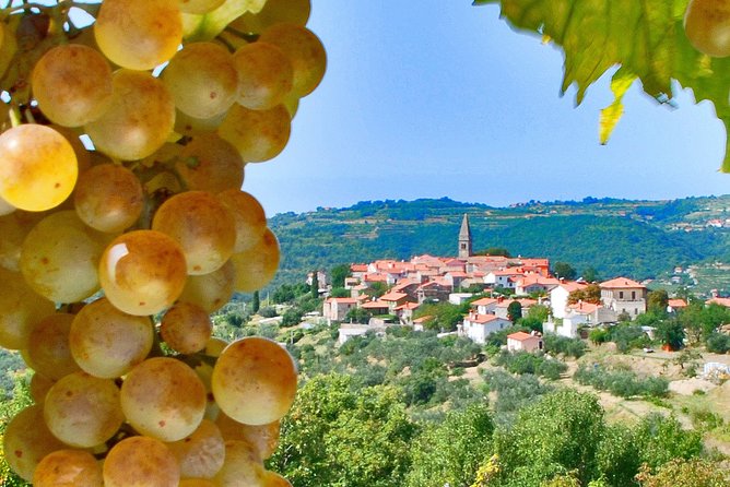 Slovenian Istria | Private off Cruise Excursion From Koper - Included Services