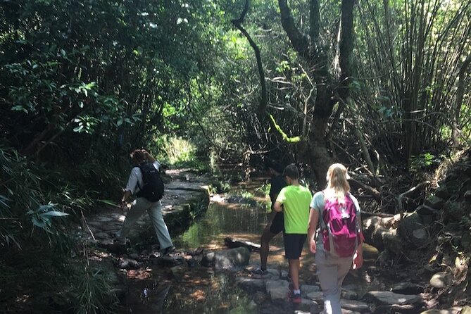 Small Group Hiking Day Tour to Lai Chi Wo - Additional Information and Recommendations