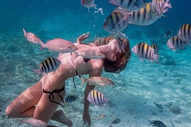 Snorkel Photos Thanks + Crystalline Beaches - Activity Details
