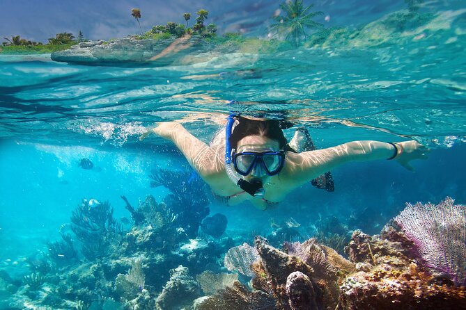 Snorkel Private Tour to Rosario Islands - Daily Tour Schedule