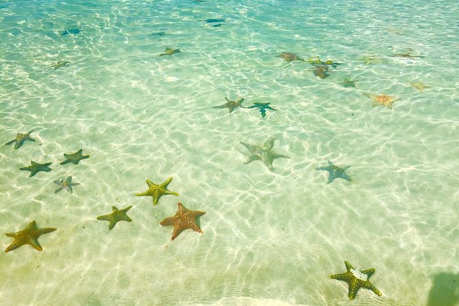 Snorkeling at Blue Lagoon and The Rock Restaurant - Frequently Asked Questions