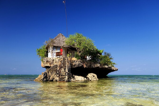 Snorkeling at Blue Lagoon, Star Fish and the Rock Restaurant - Location: Zanzibar, Tanzania