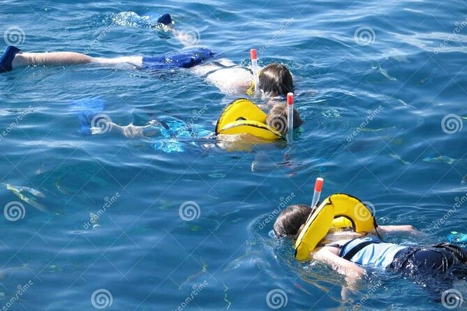 Snorkeling Boat Trip With Motor Yacht - Confirmation and Accessibility Details