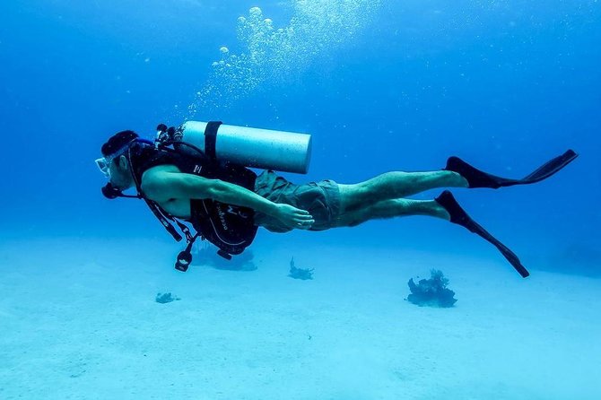 Snorkeling Day Tour by Boat to Ras Muhammad and the White Island - Inclusions and Exclusions