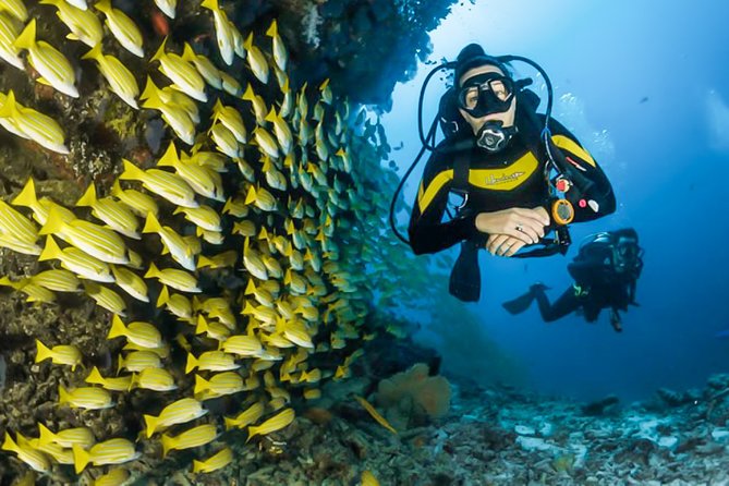Snorkeling in Talawila St. Annes Reef - Start Time