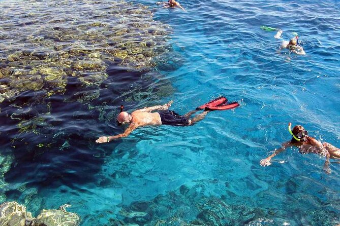 Snorkeling Trip With Dolphin at Samadai by VIP Boat-Marsa Alam - Additional Details