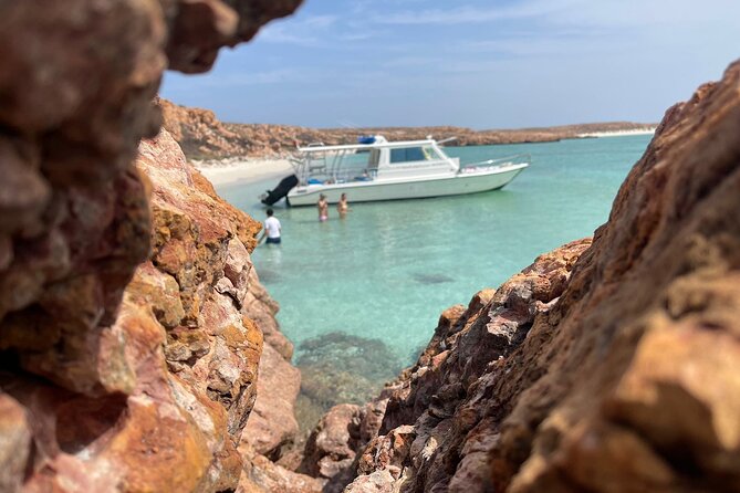 Snorkeling Trips to Daymaniat Island - Logistics Details