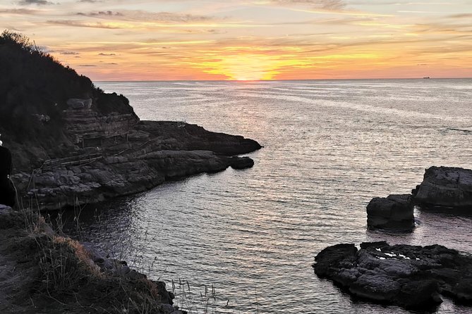 Sorrento Ercolano Napoli - Tour Highlights