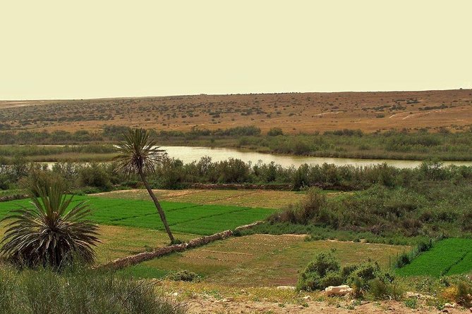 Souss Massa National Park From Agadir - The Sum Up