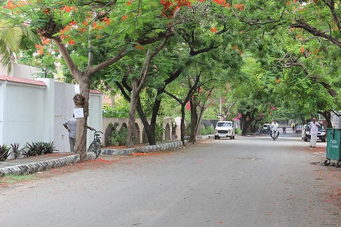 South Indian Vegetarian Cooking Class Near the Chennai Airport - The Sum Up