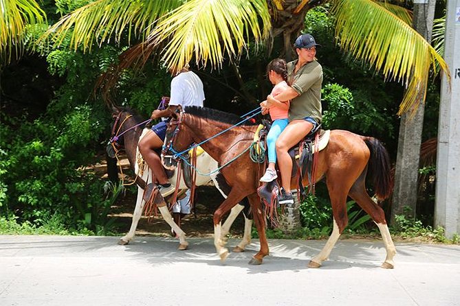 South Side Horseback Riding, Beach Break & Roundway Transfer - Itinerary Details