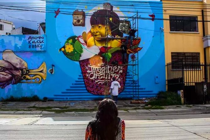 Spectacular Street Art Tour in Bogota - Inclusions