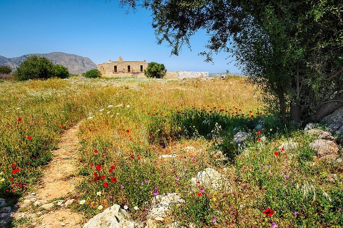 Spend Amazing Time Being a Cretan for One Day- Crete - Tour Details