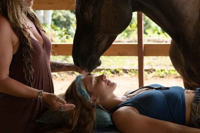 Spirit of the Horse Unique Experiences With Horses - Group Size and Pricing
