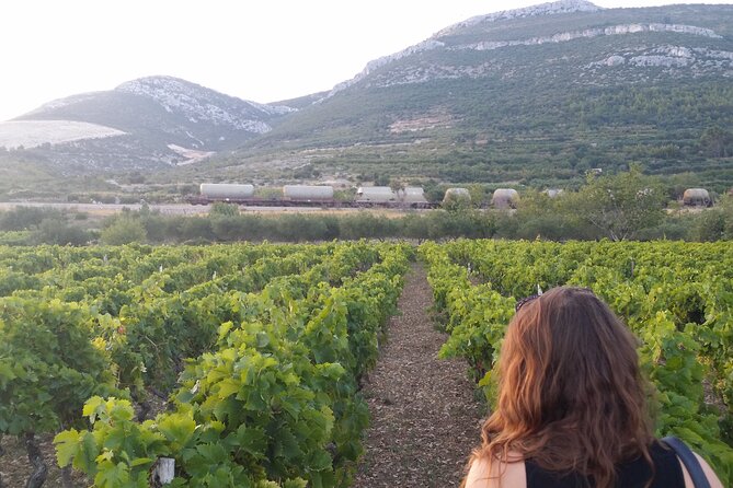 Split Wine Tour-Indigenous Sorts of Kastela Region - Meeting Point Information