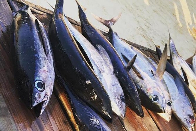 Sport Fishing and Round Trip Transportacion From Airbnb,Hotel or Cruise Port - Whats Included in the Tour