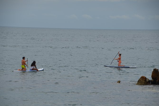 Stand Up Paddle! - Pickup Details
