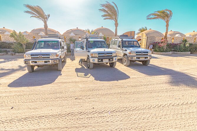 Stargazing Safari Adventure With Camel Ride, Dinner in Hurghada - Round Trip Costs