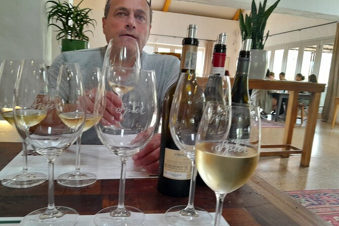 Stellenbosch, Franschhoek & Paarl Wine Tasting Shared Tour - Frequently Asked Questions