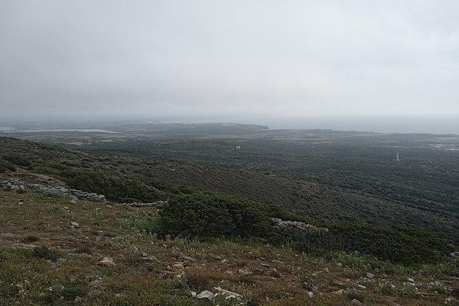 Stintino Trekking Private Tour to Capo Falcone - Health and Accessibility