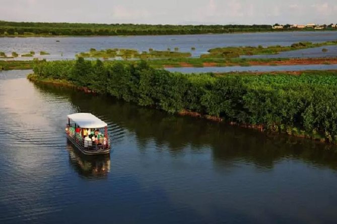 Sunflower Garden and Wild Bird Wetland Park Private Tour - Inclusions and Exclusions