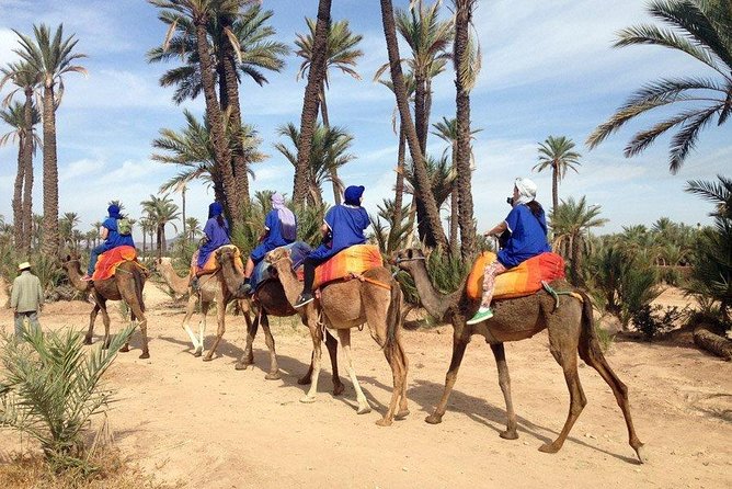 Sunset Tour & Dromedary Ride At Palm Grove Of Marrakech - Additional Details