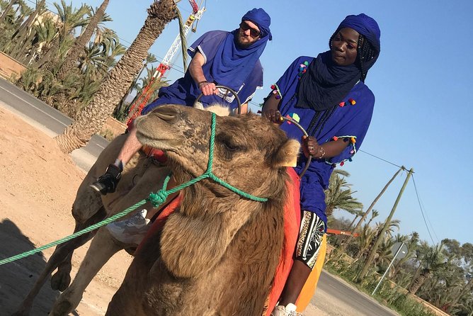 Sunshine Camel Ride in Marrakech - Activity Overview
