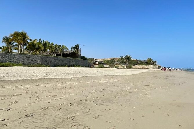 Surfing Day in Máncora and Its Secret Places - Participation Requirements