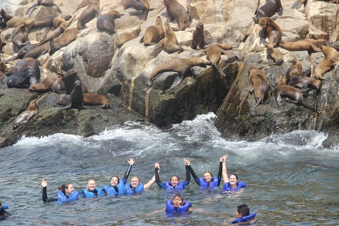 Swimming With Sea Lions in Lima - Accessibility Information