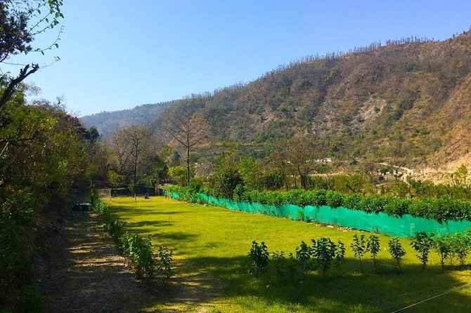 Swiss Tent Camping Near Dehradun - Optional Activities