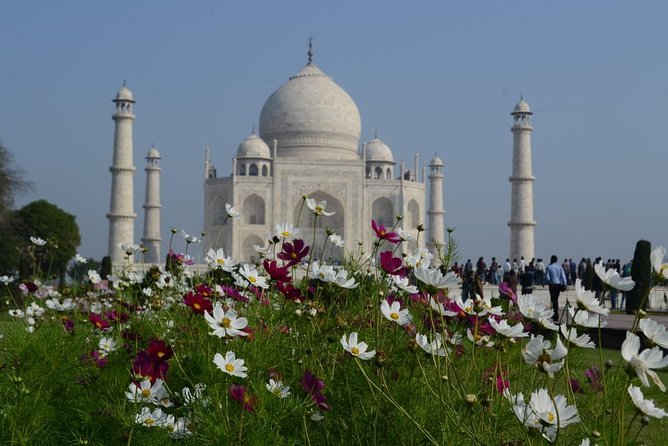 Taj Mahal Tour With Elephant and Bear Conservation Center From Delhi - Health and Accessibility Notes