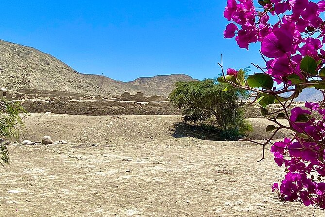 Tambo Colorado and Hacienda San José From the Port of San Martin - Tour Itinerary Highlights