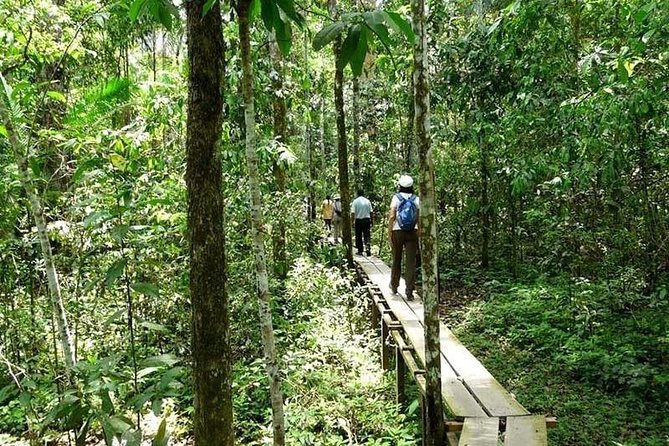 Tambopata National Reserve: Jungle and Adventure 4 Days - Accommodation and Facilities Details